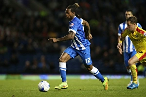 Brighton and Hove Albion vs Rotherham United: Sky Bet Championship Showdown at American Express Community Stadium (September 15, 2015)
