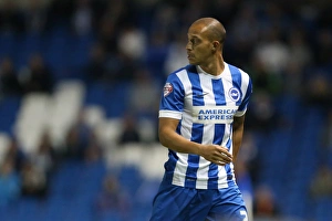 Brighton and Hove Albion vs Rotherham United: Sky Bet Championship Showdown at American Express Community Stadium (September 15, 2015)
