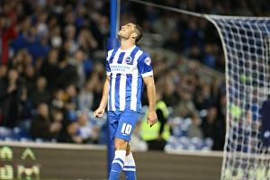 Brighton and Hove Albion vs Rotherham United: Sky Bet Championship Showdown at American Express Community Stadium (September 15, 2015)