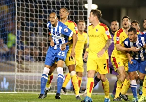 Brighton and Hove Albion vs Rotherham United: Sky Bet Championship Showdown at American Express Community Stadium (September 15, 2015)