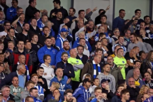 Brighton and Hove Albion vs Rotherham United: Sky Bet Championship Showdown at American Express Community Stadium (September 15, 2015)
