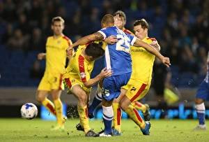 Brighton and Hove Albion vs Rotherham United: Sky Bet Championship Showdown at American Express Community Stadium (September 15, 2015)