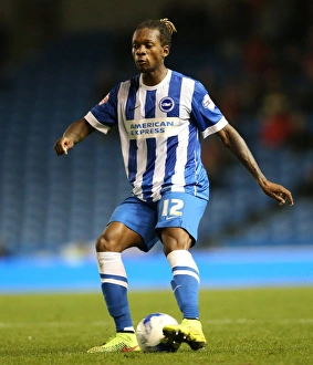 Brighton and Hove Albion vs Rotherham United: Sky Bet Championship Showdown at American Express Community Stadium (September 15, 2015)