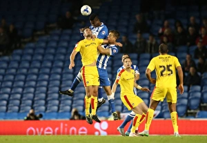 Brighton and Hove Albion vs Rotherham United: Sky Bet Championship Showdown at American Express Community Stadium (September 15, 2015)