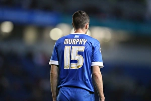 Brighton and Hove Albion vs Rotherham United: Sky Bet Championship Showdown at American Express Community Stadium (September 15, 2015)