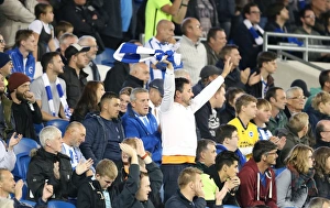 Brighton and Hove Albion vs Rotherham United: Sky Bet Championship Showdown at American Express Community Stadium (September 15, 2015)