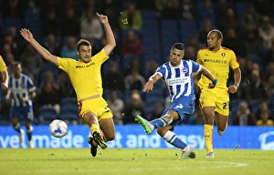 Brighton and Hove Albion vs Rotherham United: Sky Bet Championship Showdown at American Express Community Stadium (September 15, 2015)