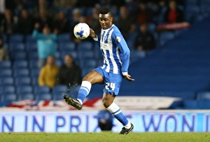 Brighton and Hove Albion vs Rotherham United: Sky Bet Championship Showdown at American Express Community Stadium (September 15, 2015)