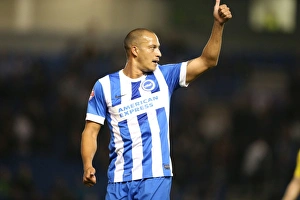 Brighton and Hove Albion vs Rotherham United: Sky Bet Championship Showdown at American Express Community Stadium (September 15, 2015)