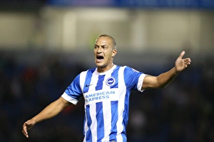 Brighton and Hove Albion vs Rotherham United: Sky Bet Championship Showdown at American Express Community Stadium (September 15, 2015)
