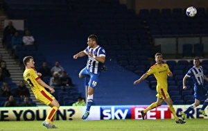 Brighton and Hove Albion vs Rotherham United: Sky Bet Championship Showdown at American Express Community Stadium (September 15, 2015)