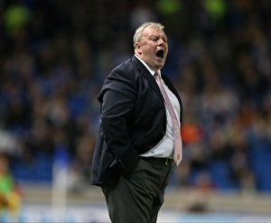 Brighton and Hove Albion vs Rotherham United: Sky Bet Championship Showdown at American Express Community Stadium (September 15, 2015)