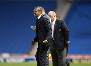Brighton and Hove Albion vs Rotherham United: Sky Bet Championship Showdown at American Express Community Stadium (September 15, 2015)