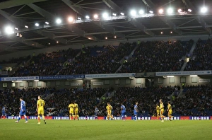 Brighton and Hove Albion vs Rotherham United: Sky Bet Championship Showdown at American Express Community Stadium (September 15, 2015)