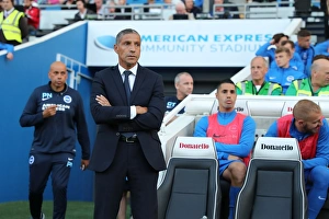 Brighton and Hove Albion vs Rotherham United: EFL Sky Bet Championship Showdown at American Express Community Stadium (August 16, 2016)