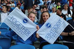 Brighton and Hove Albion vs Rotherham United: EFL Sky Bet Championship Showdown at American Express Community Stadium (August 16, 2016)