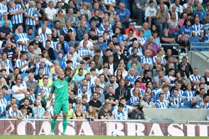 Brighton and Hove Albion vs Rotherham United: EFL Sky Bet Championship Showdown at American Express Community Stadium (August 16, 2016)