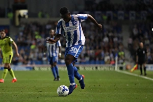 Brighton and Hove Albion vs Rotherham United: EFL Sky Bet Championship Showdown at American Express Community Stadium (August 16, 2016)