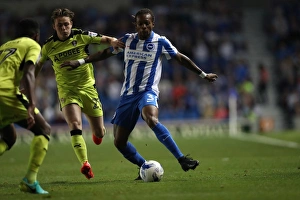Brighton and Hove Albion vs Rotherham United: EFL Sky Bet Championship Showdown at American Express Community Stadium (August 16, 2016)