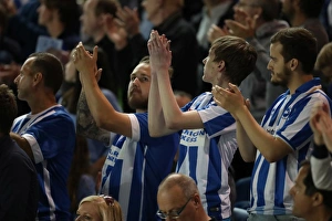 Brighton and Hove Albion vs Rotherham United: EFL Sky Bet Championship Showdown at American Express Community Stadium (August 16, 2016)