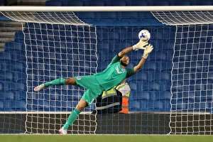 Brighton and Hove Albion vs Rotherham United: EFL Sky Bet Championship Showdown at American Express Community Stadium (August 16, 2016)