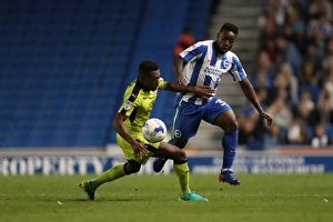 Brighton and Hove Albion vs Rotherham United: EFL Sky Bet Championship Showdown at American Express Community Stadium (August 16, 2016)