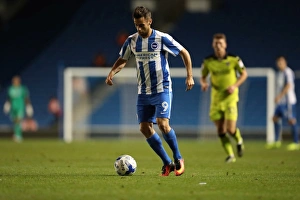 Brighton and Hove Albion vs Rotherham United: EFL Sky Bet Championship Showdown at American Express Community Stadium (August 16, 2016)