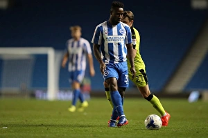 Brighton and Hove Albion vs Rotherham United: EFL Sky Bet Championship Showdown at American Express Community Stadium (August 16, 2016)