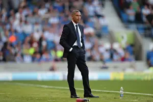 Brighton and Hove Albion vs Rotherham United: Clash in the Sky Bet Championship (August 16, 2016)