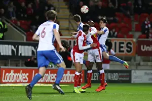 Brighton and Hove Albion vs. Rotherham United: EFL Sky Bet Championship Clash (07MAR17)
