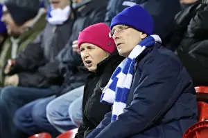 Brighton and Hove Albion vs. Rotherham United: EFL Sky Bet Championship Clash (07MAR17)