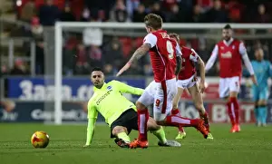 Brighton and Hove Albion vs. Rotherham United: Sky Bet Championship Clash, 12 January 2016