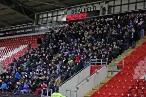 Brighton and Hove Albion vs. Rotherham United: Sky Bet Championship Clash (12 JAN 2016)