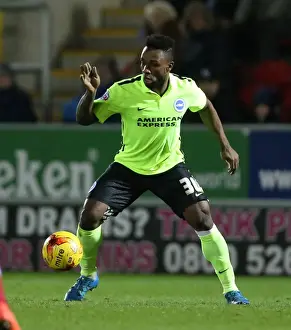 Brighton and Hove Albion vs. Rotherham United: Sky Bet Championship Clash (12JAN16)