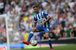 Brighton & Hove Albion vs. Sheffield Wednesday (09/08/14): 2014-15 Home Game