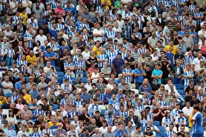 Brighton & Hove Albion vs Sheffield Wednesday (09/08/14): 2014-15 Home Game