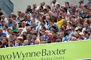 Brighton & Hove Albion vs. Sheffield Wednesday (09/08/14): 2014-15 Home Game