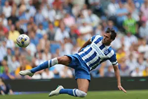 Brighton & Hove Albion vs. Sheffield Wednesday (09/08/14): 2014-15 Home Game