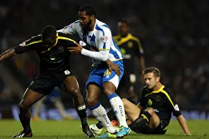 Sheffield Wednesday - 01-10-2013 Prints: Brighton & Hove Albion vs. Sheffield Wednesday: 1-1 Home Stalemate (2013-14 Season)
