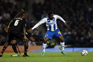 Sheffield Wednesday - 01-10-2013 Prints: Brighton & Hove Albion vs. Sheffield Wednesday (1-10-2013): A Home Game from the 2013-14 Season