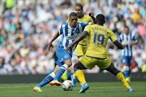 Images Dated 9th August 2014: Brighton & Hove Albion vs. Sheffield Wednesday (09/08/14): 2014-15 Home Game