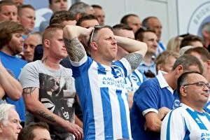 Images Dated 9th August 2014: Brighton & Hove Albion vs. Sheffield Wednesday: 2014-15 Season Home Game