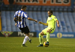 Brighton and Hove Albion vs Sheffield Wednesday: Sky Bet Championship Showdown at Hillsborough Stadium (03NOV15)
