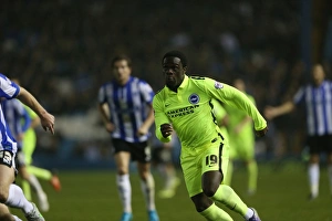 Brighton and Hove Albion vs Sheffield Wednesday: Sky Bet Championship Showdown at Hillsborough Stadium (03NOV15)