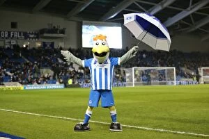 Images Dated 8th March 2016: Brighton and Hove Albion vs. Sheffield Wednesday: Sky Bet Championship Showdown at American