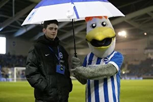 Images Dated 8th March 2016: Brighton and Hove Albion vs. Sheffield Wednesday: Intense Sky Bet Championship Clash (08.03.2016)