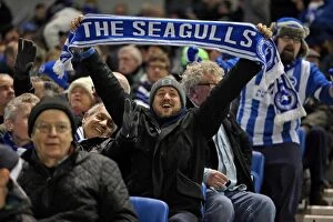 Images Dated 8th March 2016: Brighton and Hove Albion vs. Sheffield Wednesday: A Fierce Sky Bet Championship Clash (08.03.2016)