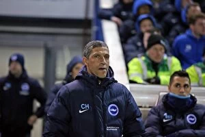 Images Dated 8th March 2016: Brighton and Hove Albion vs Sheffield Wednesday: Sky Bet Championship Showdown at American Express