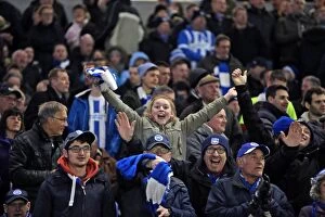 Images Dated 8th March 2016: Brighton and Hove Albion vs. Sheffield Wednesday: Sky Bet Championship Showdown at American