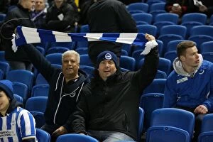 Images Dated 8th March 2016: Brighton and Hove Albion vs. Sheffield Wednesday: Intense Clash in the Sky Bet Championship